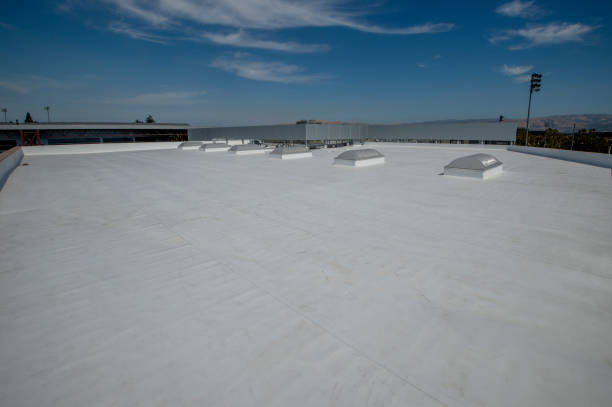Best Metal Roofing Installation  in Brilliant, AL