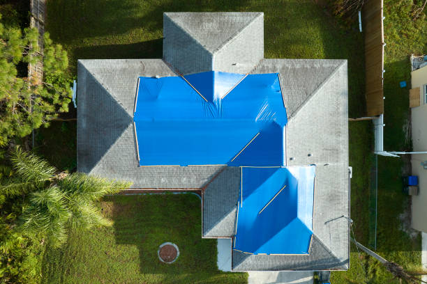 Best Storm Damage Roof Repair  in Brilliant, AL