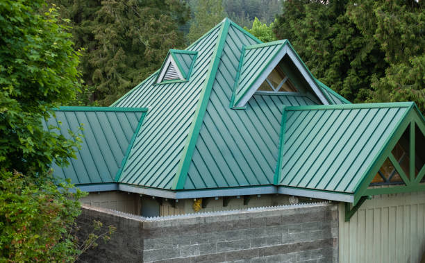 Best Skylight Installation and Repair  in Brilliant, AL