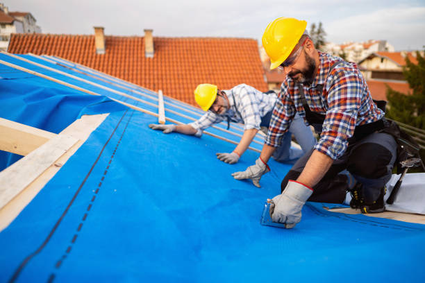 Best Roof Ventilation Installation  in Brilliant, AL