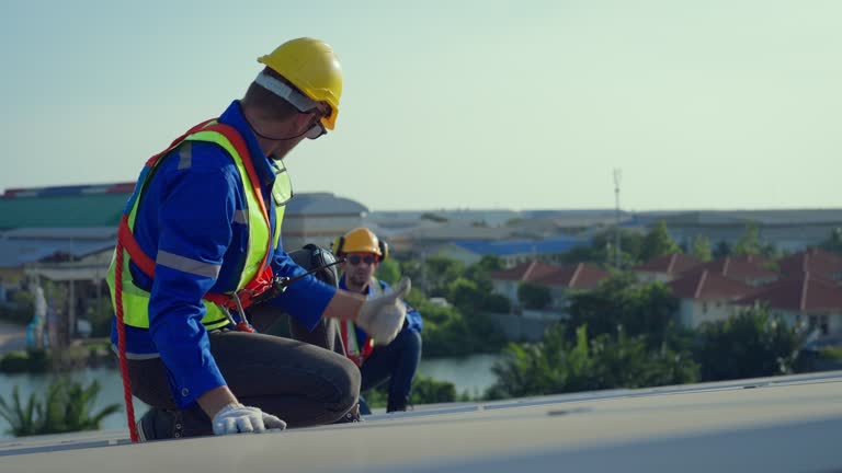Best Steel Roofing  in Brilliant, AL
