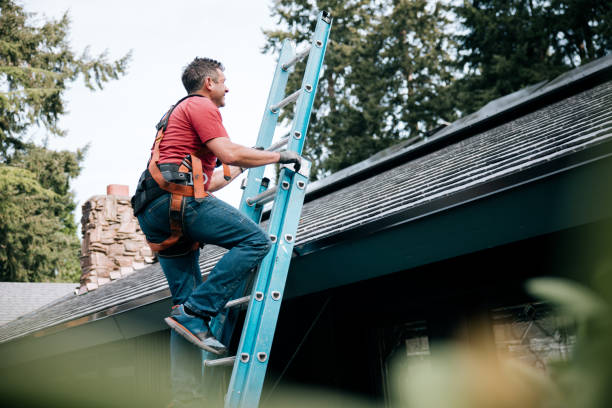 Best Roof Insulation Installation  in Brilliant, AL