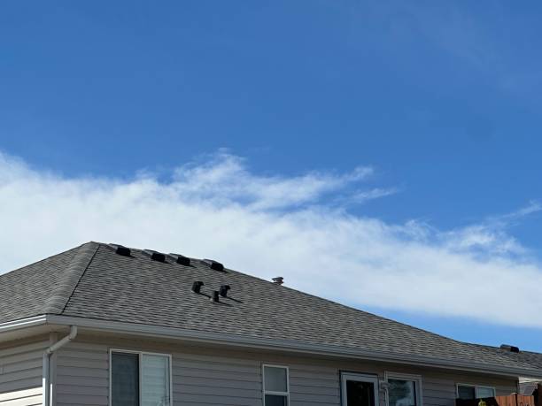 Best Emergency Roof Repair Services  in Brilliant, AL